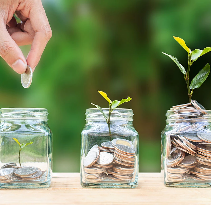 3 pots contenant des pièces avec des plantes